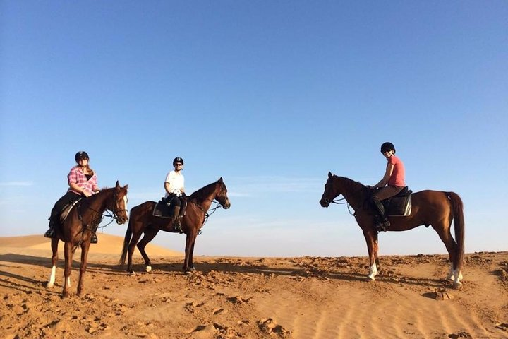 Experience the beauty of the Dubai desert while horseback riding with breathtaking views of rolling sand dunes and the distant skyline perfect for adventurers of all skill levels.